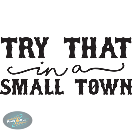 Jason Aldean Try That In A Small Town Vinyl Decal TTIAST Black Vinyl Decal