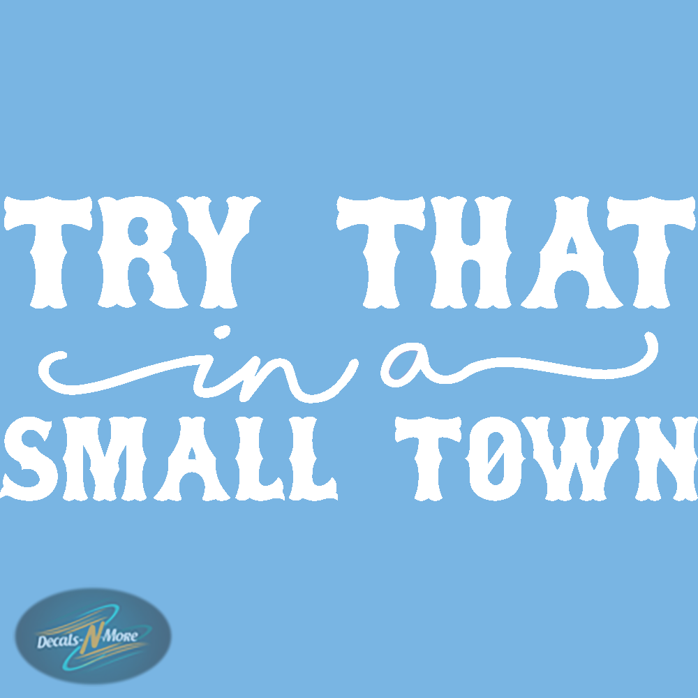 Jason Aldean Try That In A Small Town Vinyl Decal TTIAST white vinyl decal