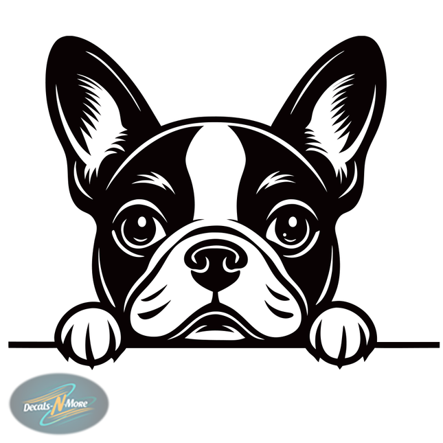Boston Terrier Family Vet Vinyl Decal BT1- in black