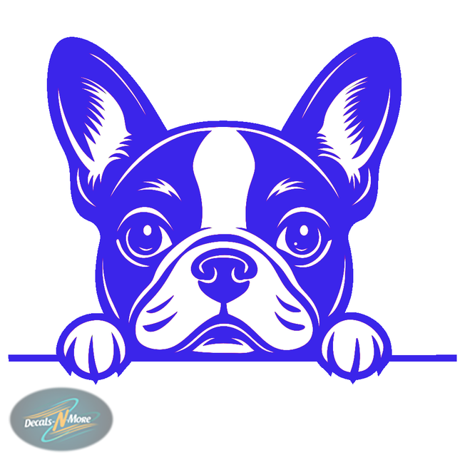 Boston Terrier Family Vet Vinyl Decal BT1 in blue