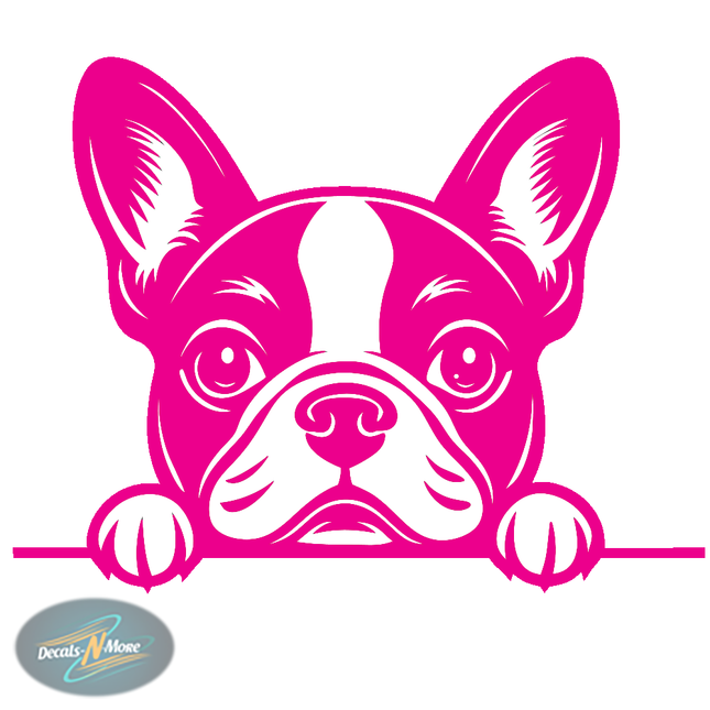 Boston Terrier Family Vet Vinyl Decal BT1 in pink