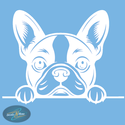 Boston Terrier Family Vet Vinyl Decal BT1 in white